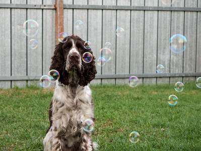 Bella posing with bubbles