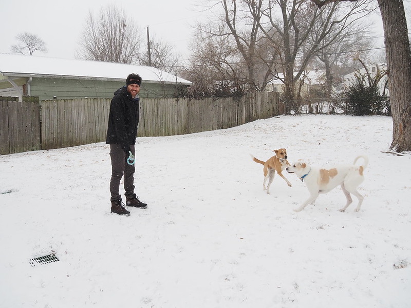Photo of me standing in the yard with the dogs in the snow.